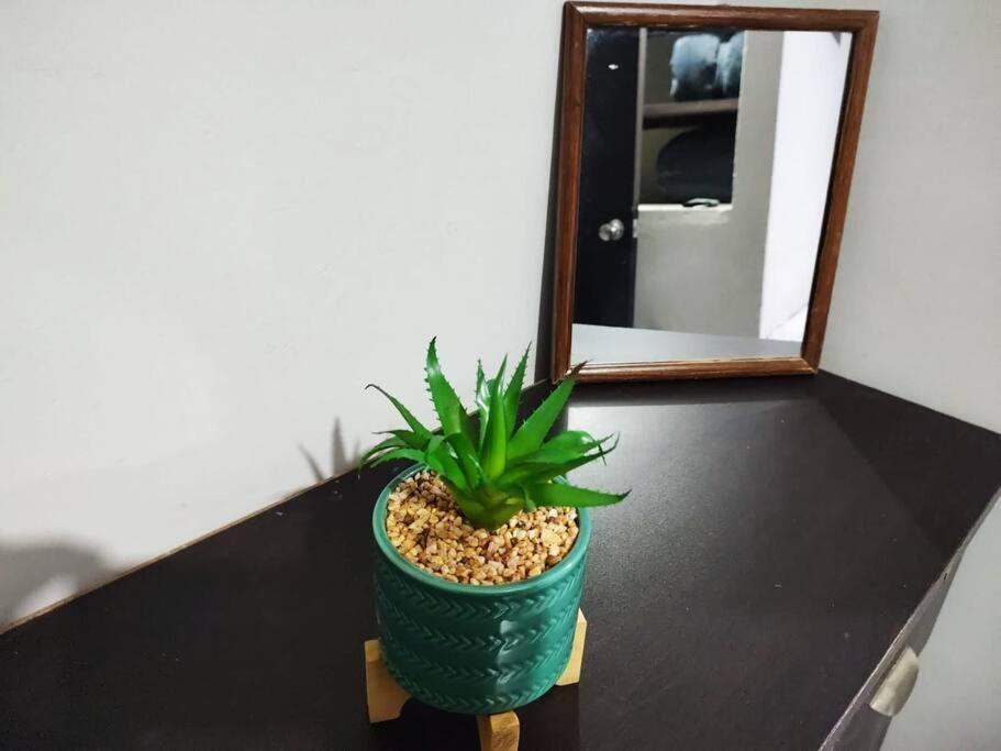 Hermoso Departamento Centrico Con Servicios Apartment Текила Екстериор снимка